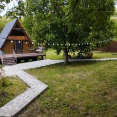 Modern Chalet