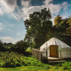Chestnut - Yurt