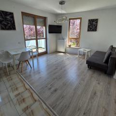 Apartment Wilanow Branickiego