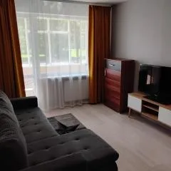Svečių butas