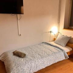 Apartmans Turgenevova - Ostravska with FREE parking