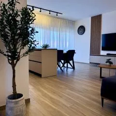 Apartment Navis Povljana