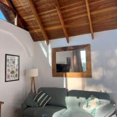 Loft in the Woods in São Roque!