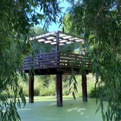 Da Silva Surf Lodge Three