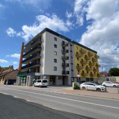 City Flat - Garage parking - TRITA SK