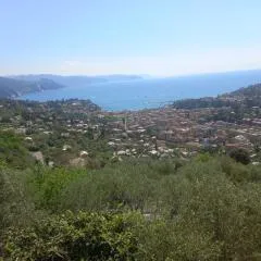 Agriturismo Portofino