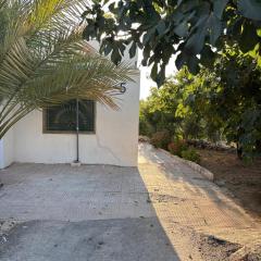 Featured House Furnished Independent for Rent