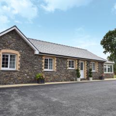 Maes Rheidol