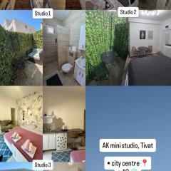 AK mini studio u centru