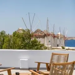 Mykonos Windmills View
