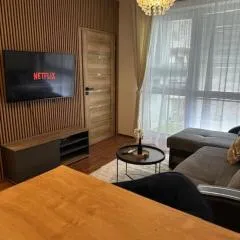 Modern 2-bedroom apartment with balcony