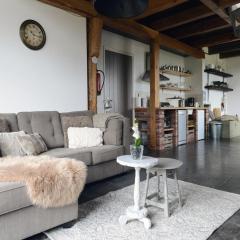 Spacious apartment with garden