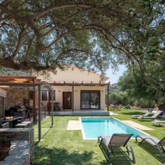 Eleolithos Villa olive & pool