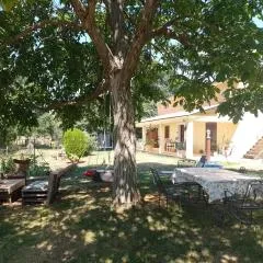Golden Valley apartment & ranch
