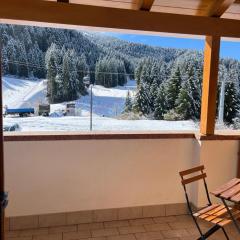 Appartamenti Rì de la Clama Andalo, Barbara