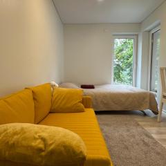 Studijos tipo apartamentai