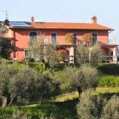 Olivia B&B and Apartment
