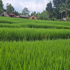 Uma Nirmala Aling-Aling