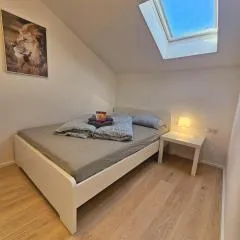Old Town Modern Charm Apartment