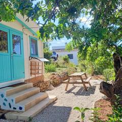 La casa del algarrobo