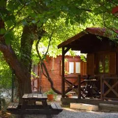 Cabañas Rurales - Las Taneas