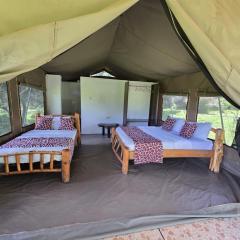 Wild Nest Mara camp