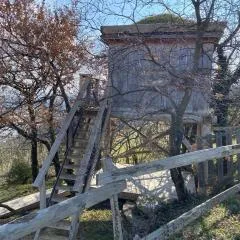 Mon rêve de garçon - Cabanes connectées à la nature