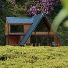 Nesli Villa & Bungalow - Dubleks Bahçeli Villa