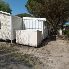 Mobil Home 458 Siblu La Réserve Gastes