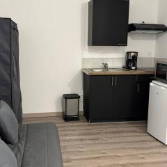 Studio au cœur d'Amélie-les-Bains, animaux acceptés - FR-1-703-214