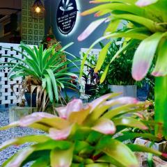 The Nature House Aonang Krabi Thailand