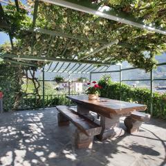 La Mèison de la Louye