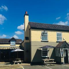 ROYAL OAK