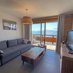 Paradiski nouveau, calme et ensoleillé vallandry