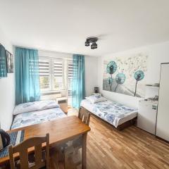 Pokoje gościnne u Brodzi