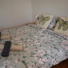 Panoramico Studio Novi Sad - Apartment with panoramic view