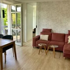 Apartmán U Zlaté břízy Krušné hory - Erzgebirge