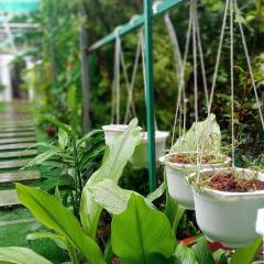 Homestay Golf Yard - BiPQ