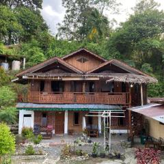 Bukitlawangtour and Accomodation