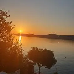 Apartmani Borovac Šparadići
