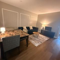 Beautiful 2BR APT Near Downtown DC
