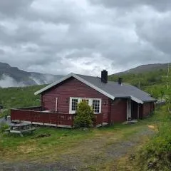 Fjellheimens Svanebu