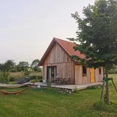 Dziadkowe Poletko