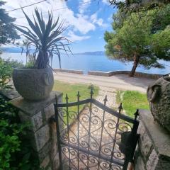 Apartment in Novi Vinodolski 15285