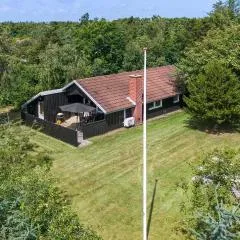 Amazing Home In Skjern With Wifi