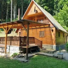 Chata Bozeňov