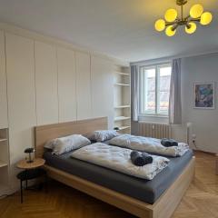 cozy big old town apartment