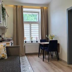Perfect Stay - "Pod Krzyżackim Murem" with parking