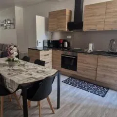 Vierzon superbe appartement