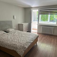 Spacious 4-Room Apartment in Klaipėda Old Town